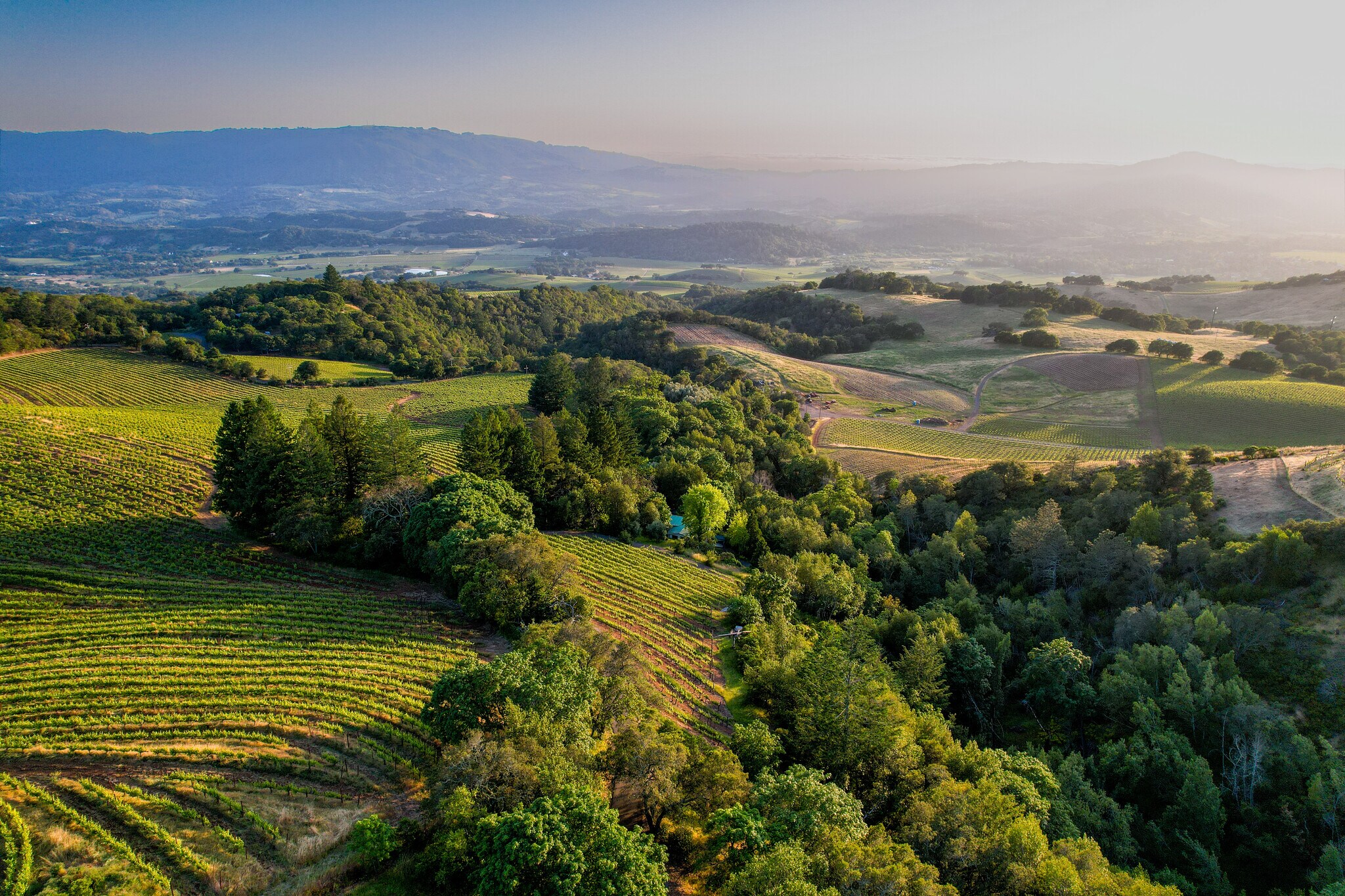 Atlas Peak Road, Napa, CA à vendre Photo principale– Image 1 sur 2