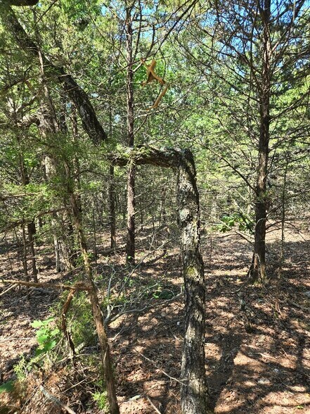 20765 State Highway 42, Belle, MO à vendre - Autre – Image 2 sur 6