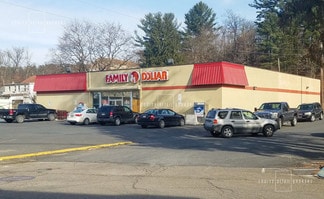 Plus de détails pour 14 Spring St, Tremont, PA - Local commercial à vendre