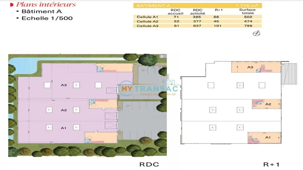 Local d'activités dans Bondoufle à vendre - Plan d’étage – Image 1 sur 6
