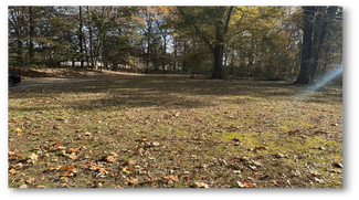 Plus de détails pour 7520 Macon Rd, Cordova, TN - Terrain à vendre