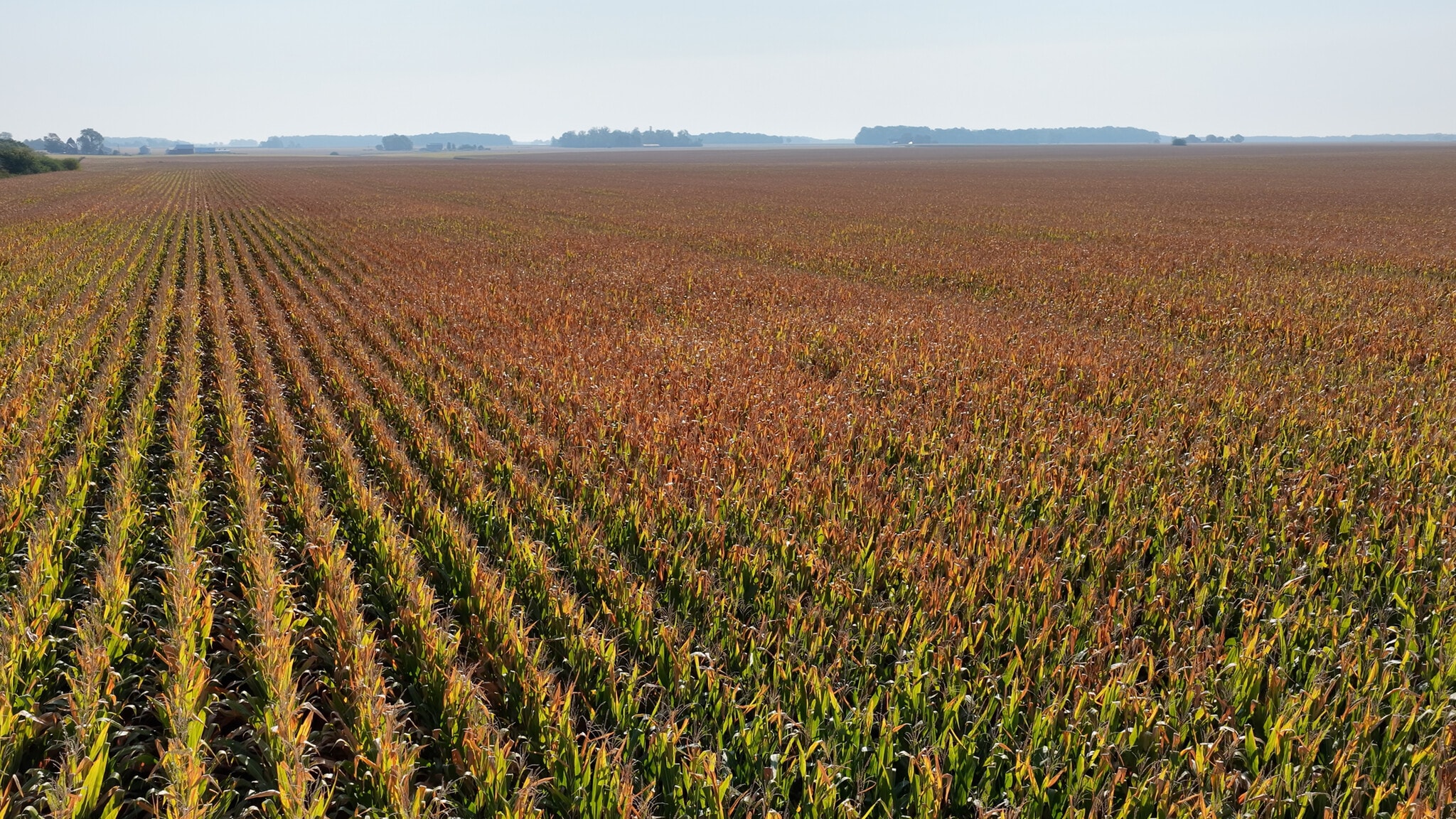 9992 County Road 300 East, Walton, IN à vendre Aérien– Image 1 sur 16