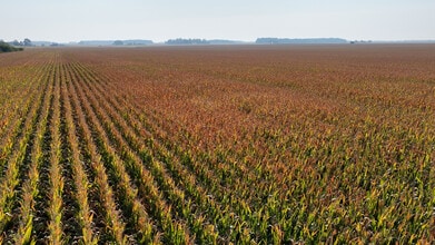 9992 County Road 300 East, Walton, IN - VUE AÉRIENNE vue de carte - Image1