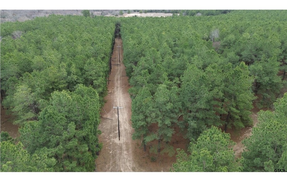 250 County Road 296 & 120 FCR 298, Oakwood, TX à vendre - Photo de l’immeuble – Image 3 sur 14