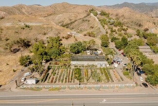 Plus de détails pour 8785 Santiago Canyon Rd, Silverado, CA - Terrain à louer