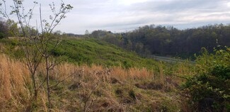 Plus de détails pour 463 Big Ben Bowen Hwy, Huntington, WV - Terrain à vendre