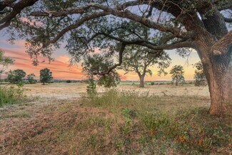 Plus de détails pour 2339 Highway 36, Sealy, TX - Terrain à vendre