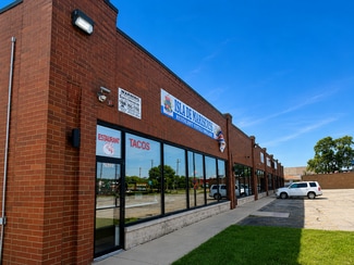 Plus de détails pour 2801-2813 W 147th St, Posen, IL - Local commercial à vendre