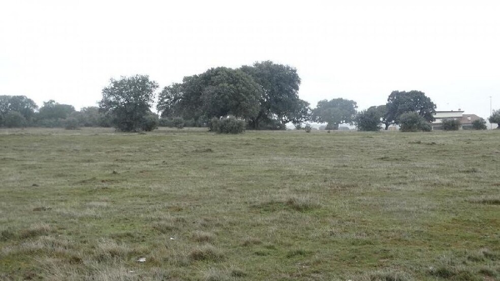 Terrain dans Buenavista, Salamanca à vendre - Plan de site – Image 3 sur 3