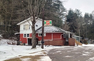 Plus de détails pour 1597 Hillside Rd, Shavertown, PA - Local commercial à vendre