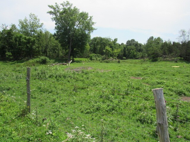 View Photo