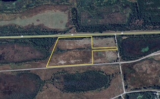 Plus de détails pour 0 Highway 37, Mulberry, FL - Terrain à vendre