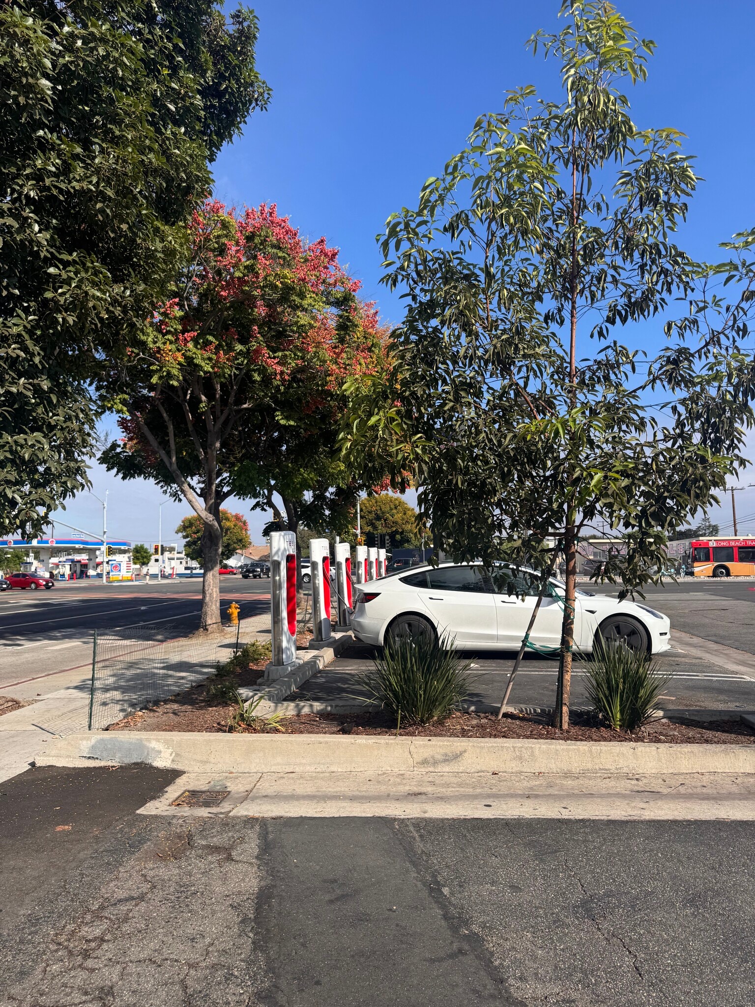 6590 Long Beach Blvd, Long Beach, CA à louer Photo intérieure– Image 1 sur 5