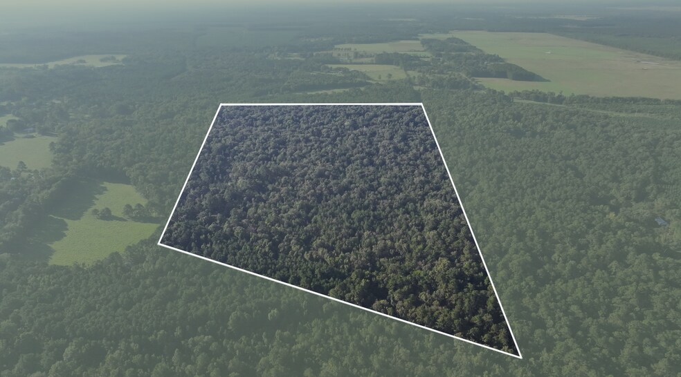 TBD CR 2041, Hull, TX à vendre - Photo de l’immeuble – Image 2 sur 27