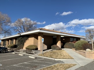 Plus de détails pour 1380 US Hwy 395, Gardnerville, NV - Local commercial à vendre