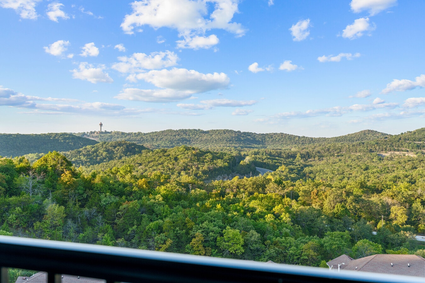 3002 N Vineyards Ter, Branson, MO 65616 - Lot 3 - - Photo intérieure - Image 2 of 20