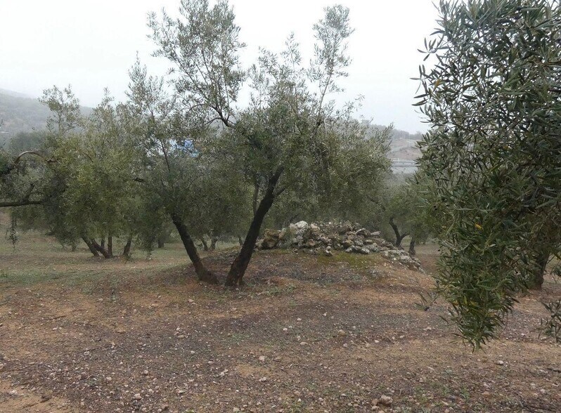 Terrain dans Peligros, Granada à vendre - Photo de l’immeuble – Image 1 sur 28