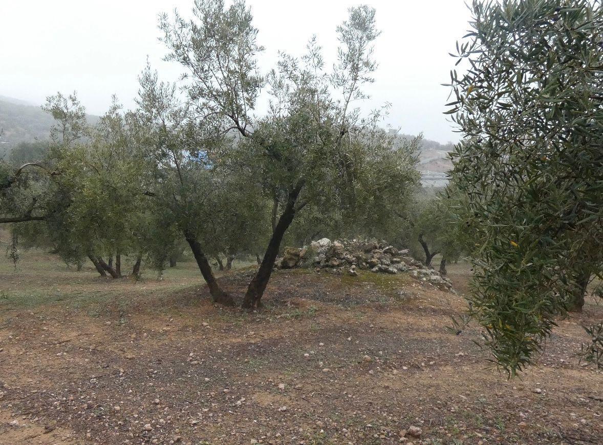 Terrain dans Peligros, Granada à vendre Photo de l’immeuble– Image 1 sur 29