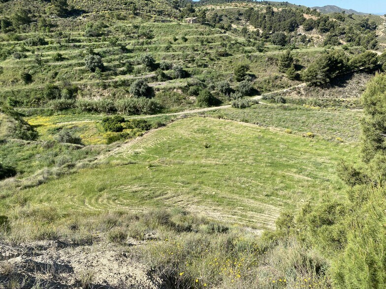 Lorca, S/N, Murcia, Murcia à vendre - Plan de site – Image 3 sur 10