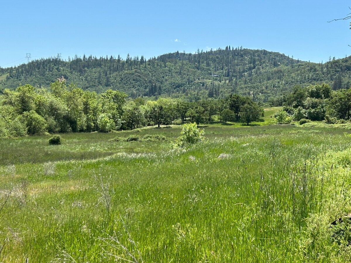 View Photo