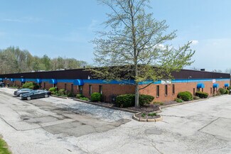 Plus de détails pour 1927-1947 E Aurora Rd, Twinsburg, OH - Bureau, Local d'activités à louer