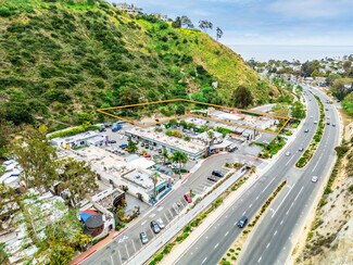 Plus de détails pour 777 Laguna Canyon Rd, Laguna Beach, CA - Local commercial à vendre