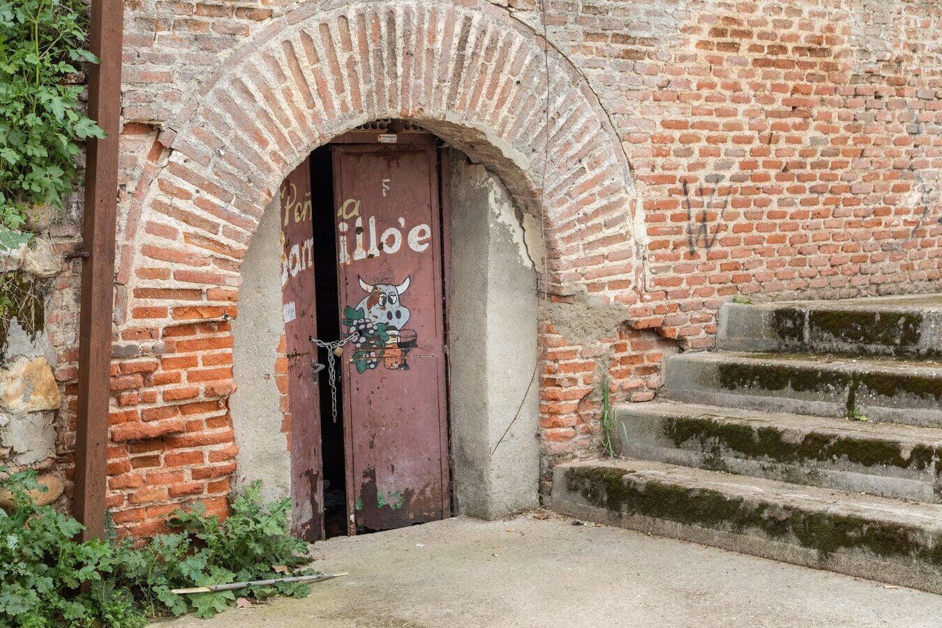 View Photo