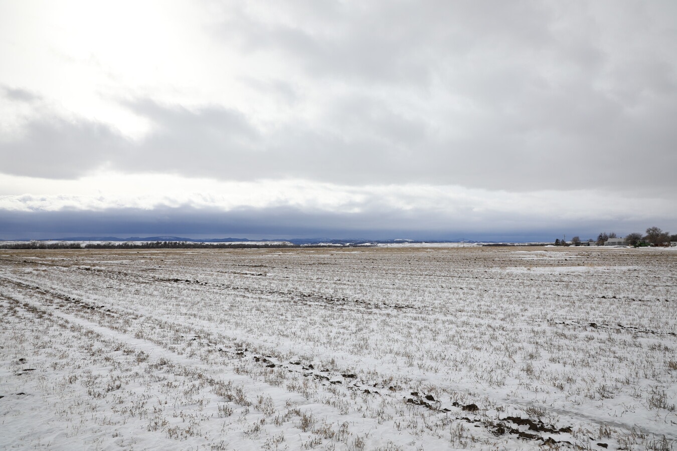 View Photo