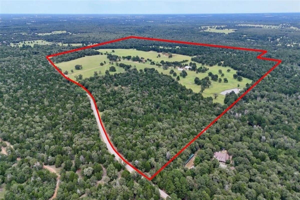 705 Antioch Rd, Paige, TX à vendre Photo principale– Image 1 sur 41