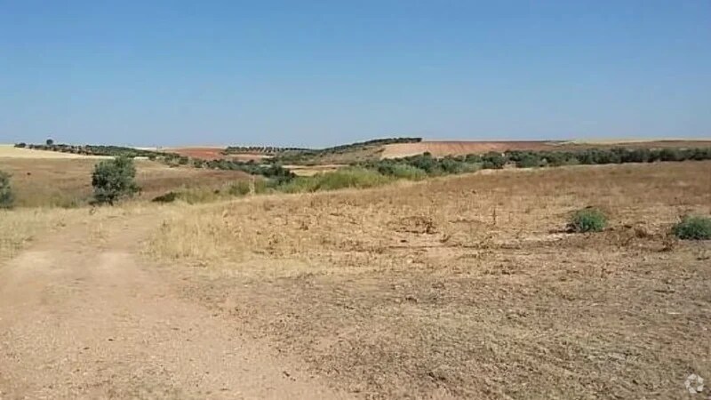 Polig. 1, R-5 Cañadilla portefeuille de 5 biens à vendre sur LoopNet.fr Photo principale– Image 1 sur 12