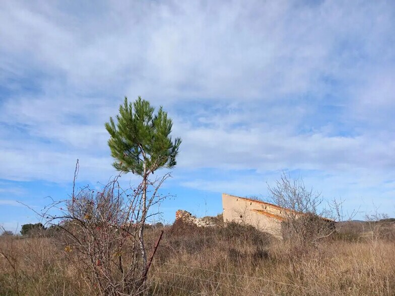 Terrain dans Caux à vendre - Photo de l’immeuble – Image 2 sur 6