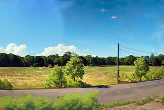 Plus de détails pour Ecorse Rd, Romulus, MI - Terrain à vendre