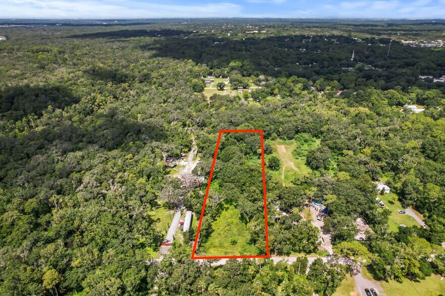 4420 River Dr., Valrico, FL à vendre - Aérien – Image 1 sur 17