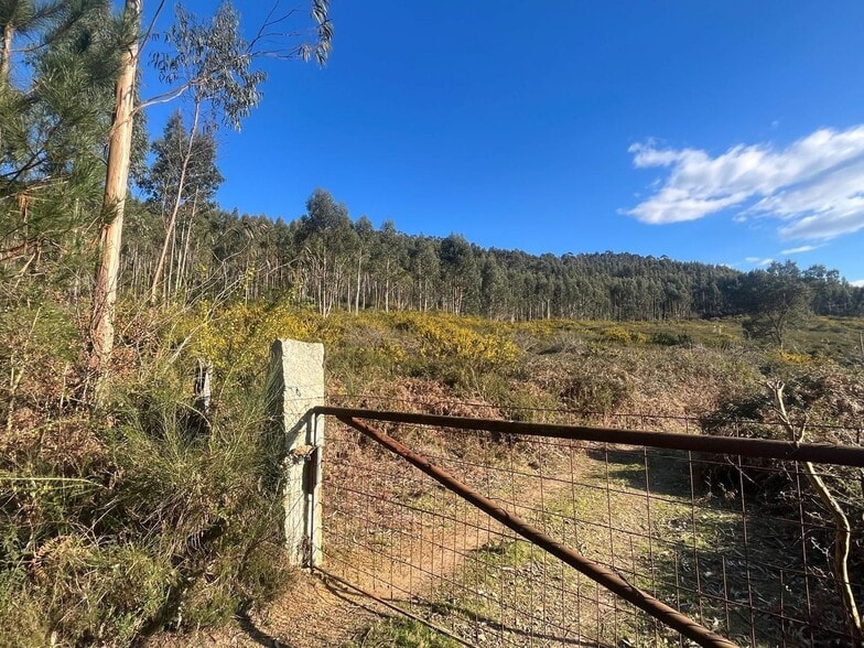 Acevedo, Oia, Pontevedra à vendre - Photo de l’immeuble – Image 3 sur 42