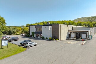 Plus de détails pour 173 Black Meadow Rd, Chester, NY - Industriel/Logistique à louer