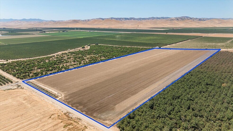 Schmidt Road 069-110-078-000 Rd, Gustine, CA à vendre - Photo principale – Image 1 sur 33