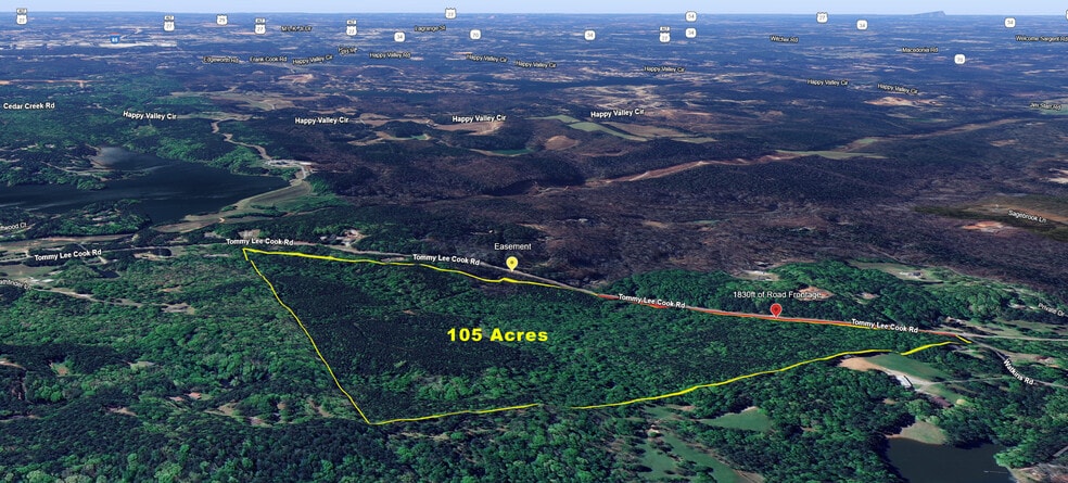 3201 Tommy Lee Cook Rd, Newnan, GA à vendre - Aérien – Image 2 sur 8