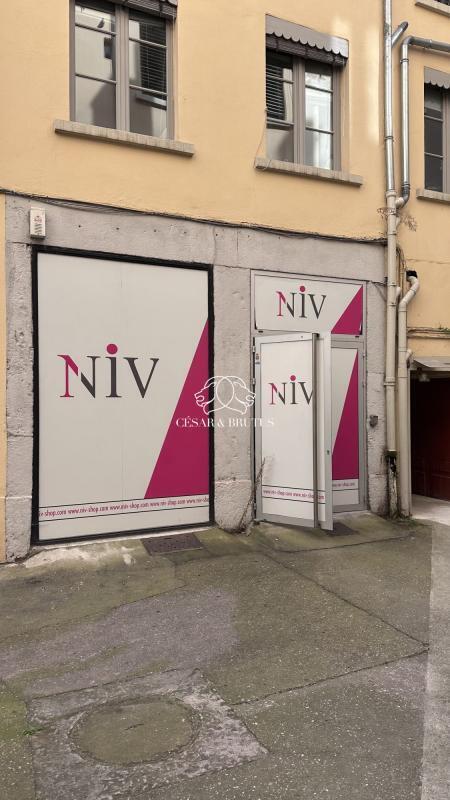 Plus de détails pour 51 Rue Pierre Corneille, Lyon - Local commercial à louer