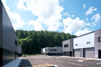 Plus de détails pour 17 Rue De Paris, Tarare - Local d'activités à louer