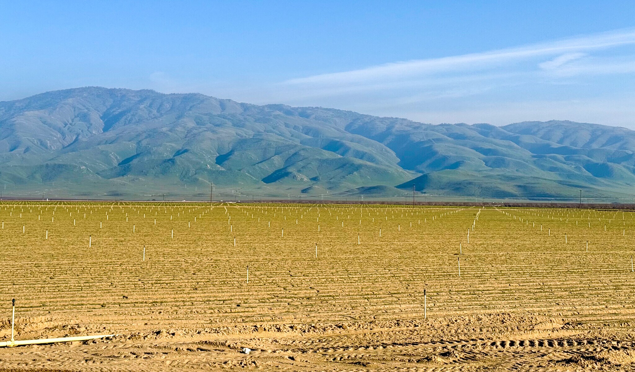 Millux Rd, Arvin, CA à vendre Photo principale– Image 1 sur 7