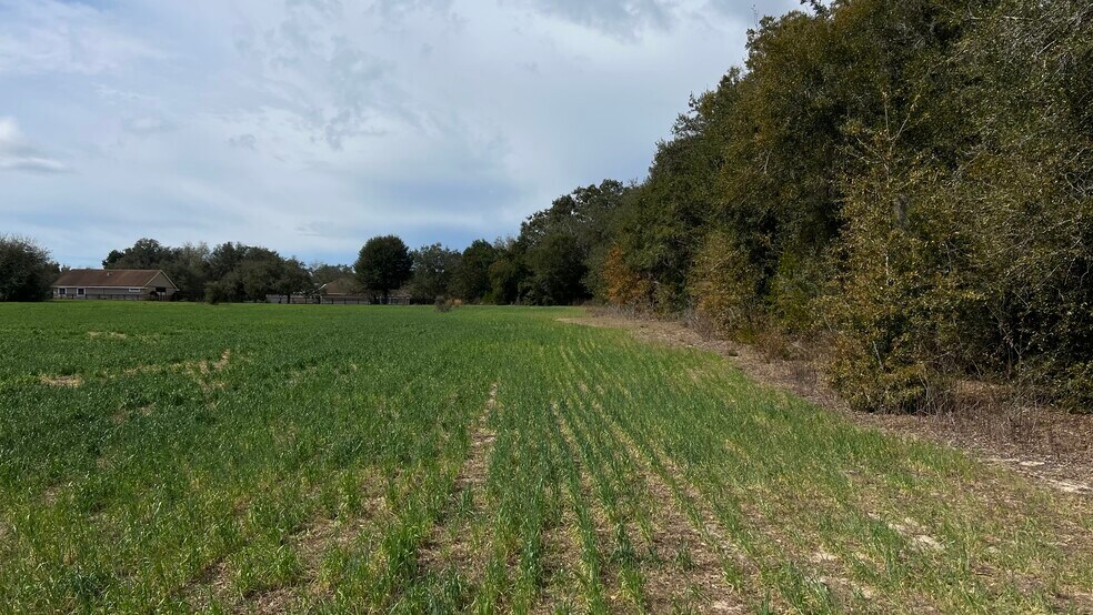 Hwy 326, Ocala, FL à vendre - Photo de l’immeuble – Image 3 sur 20