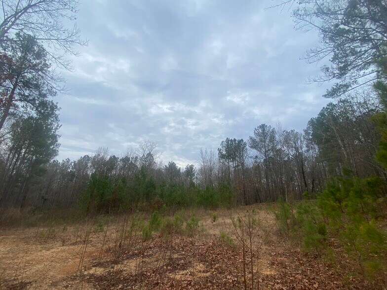 140 Cora Dr, Columbia, SC à vendre - Photo de l’immeuble – Image 2 sur 7