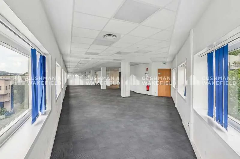 55 Avenue René Cassin, Lyon à louer - Photo de l’immeuble – Image 3 sur 15