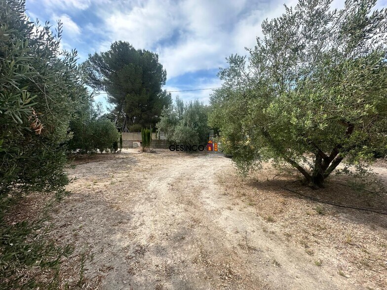 Terrain dans Xàtiva, Valencia à vendre - Photo de l’immeuble – Image 3 sur 10