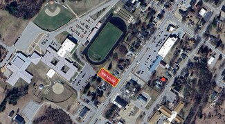 Plus de détails pour 781 S Chestnut St, Reed City, MI - Terrain à vendre