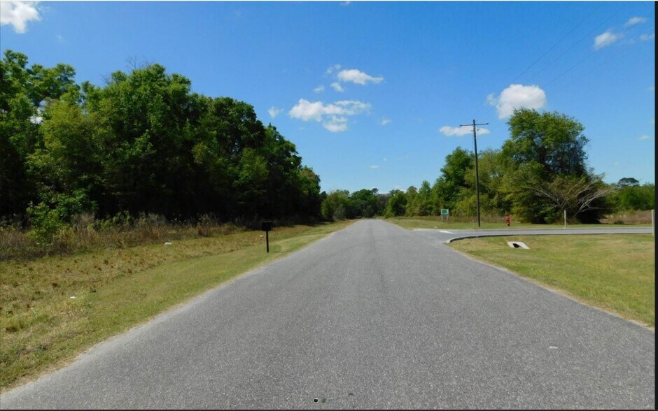 Windswept Glen (Lot 2), Lake City, FL à vendre - Photo de l’immeuble – Image 2 sur 3