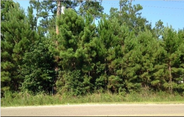 63380 Old Military Rd, Pearl River, LA à vendre - Photo principale – Image 3 sur 6