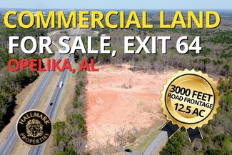 Plus de détails pour 1550 Uniroyal rd, Opelika, AL - Terrain à vendre