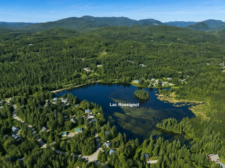 Ch Du Vison, Lac-superieur, QC à vendre - Photo de l’immeuble – Image 3 sur 9