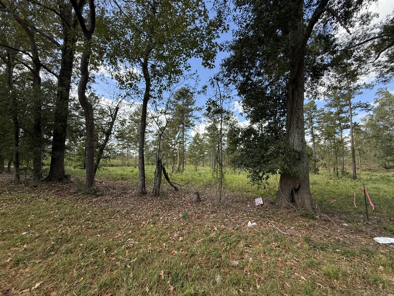 LOT 5 HWY 33 hwy, Centreville, MS à vendre - Photo principale – Image 1 sur 6